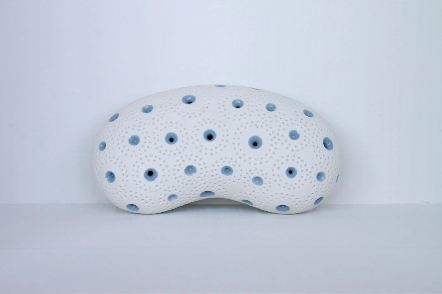 Web-Blue-&-White-Kidney.jpg