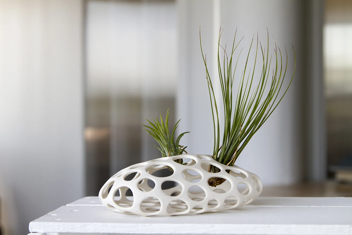 Web - Airplant Membrane - Rock Large, Porcelain.jpg