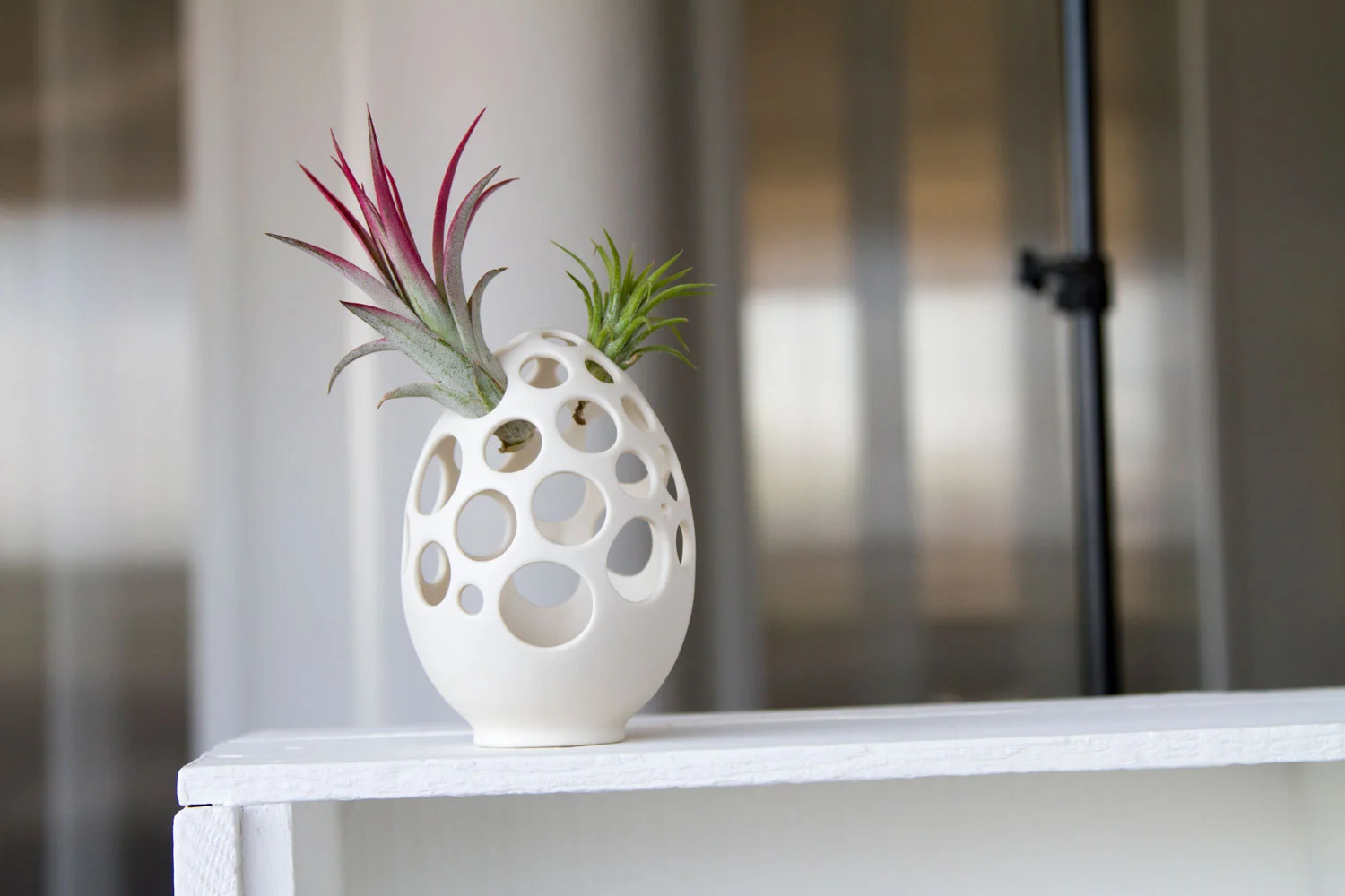 Web-Airplant-Membrane---Large-Egg,-Porcelain.jpg