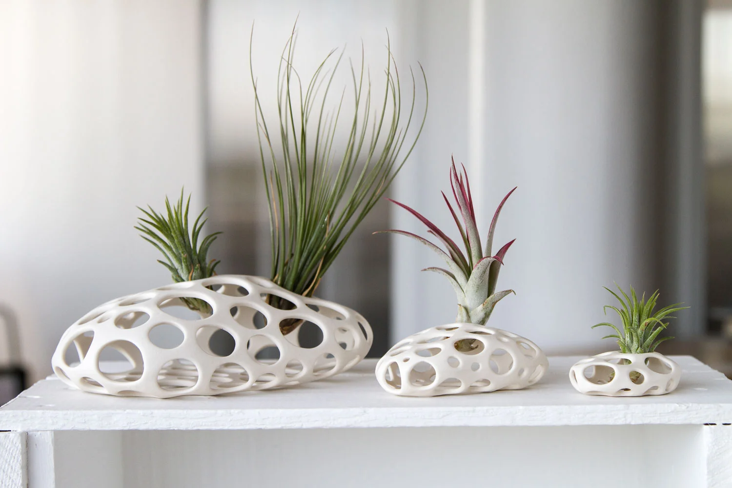 Web-Airplant-Membranes---Grouping,-Rocks,-Porcelain-SML---Version-2.jpg