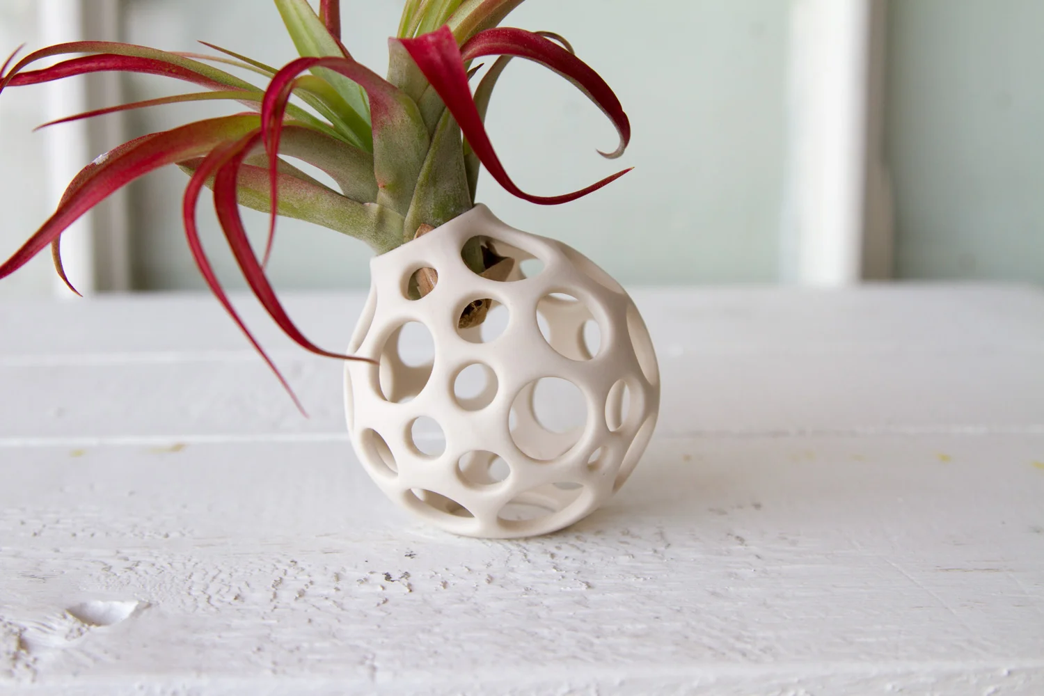 Membrane-Light-Bulb-English-Porcelain-2.jpg