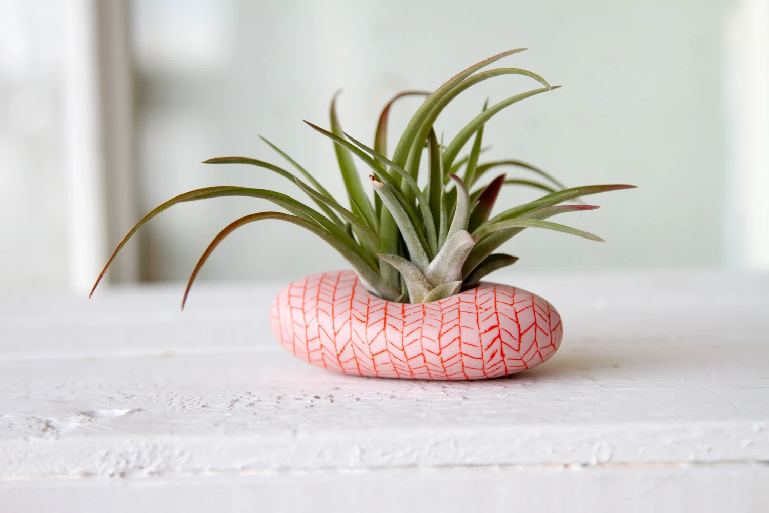 Rock-Air-Plant-Pink-and-Orange-Herringbone.jpg
