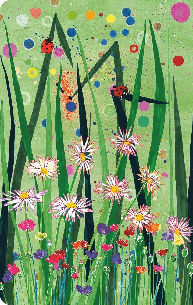 Ladybird for Compendium Inc.