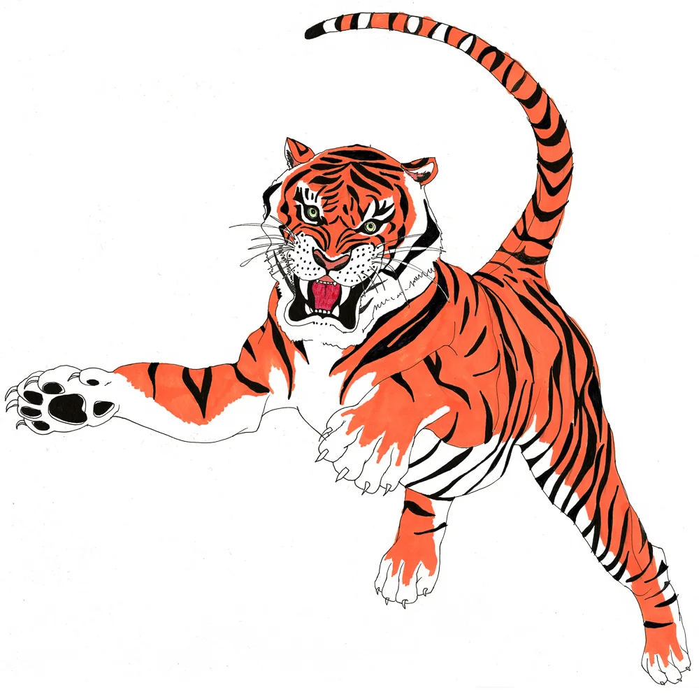 Tiger for Readers Digest