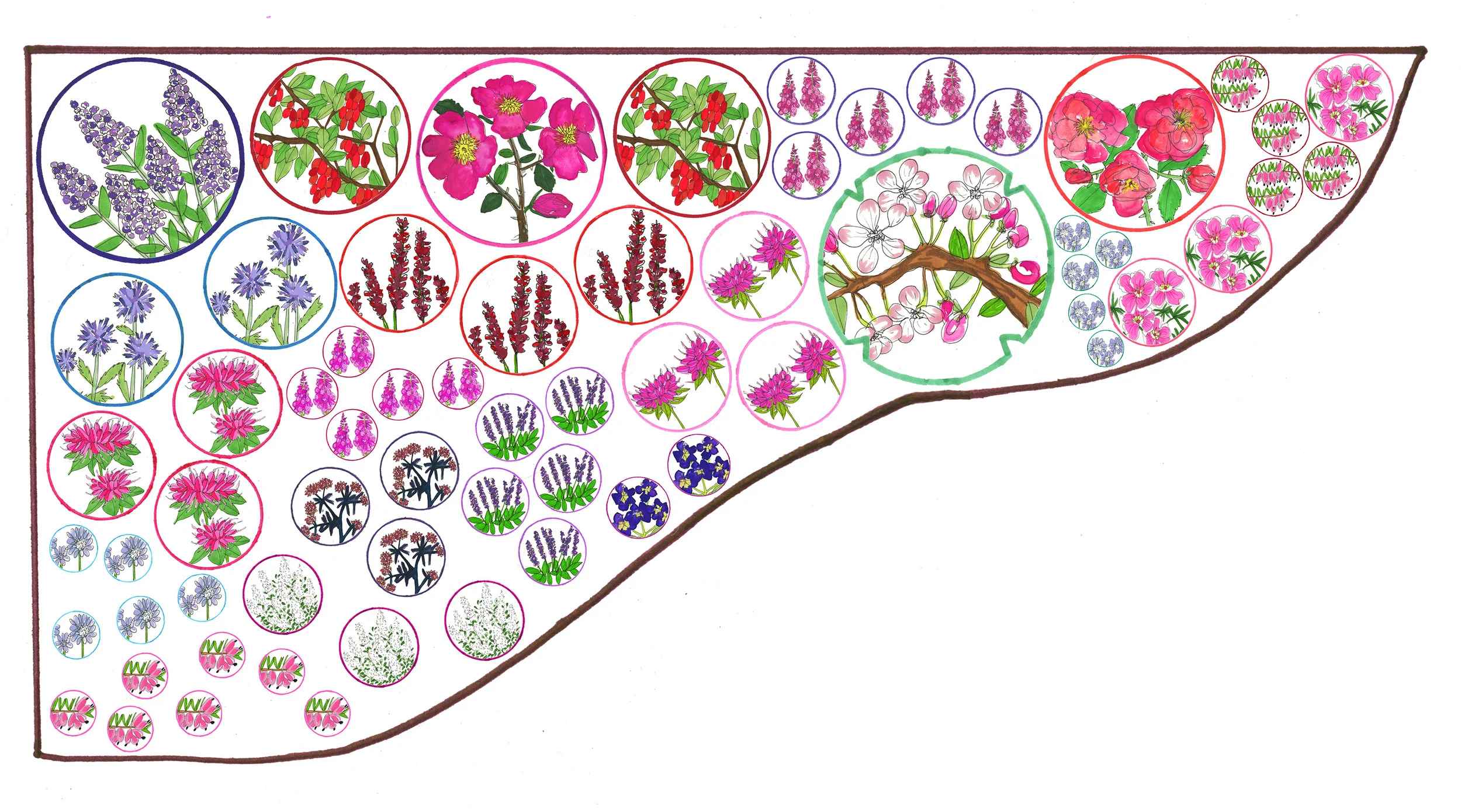 Wildlife Garden for Kyle Books