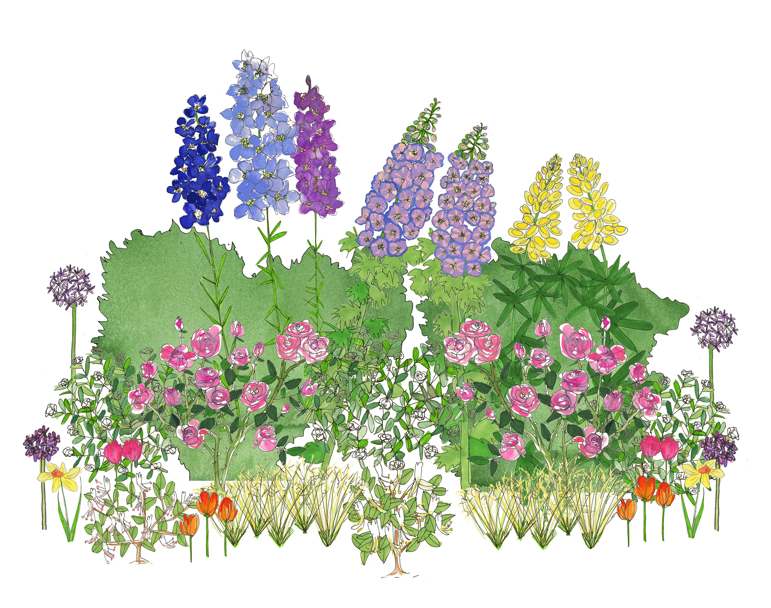 Cottage Garden flowers for Kyle Books