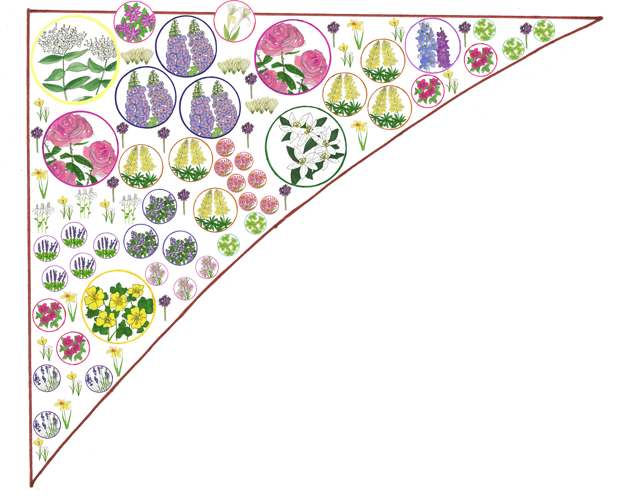 Cottage Garden plan for Kyle Books