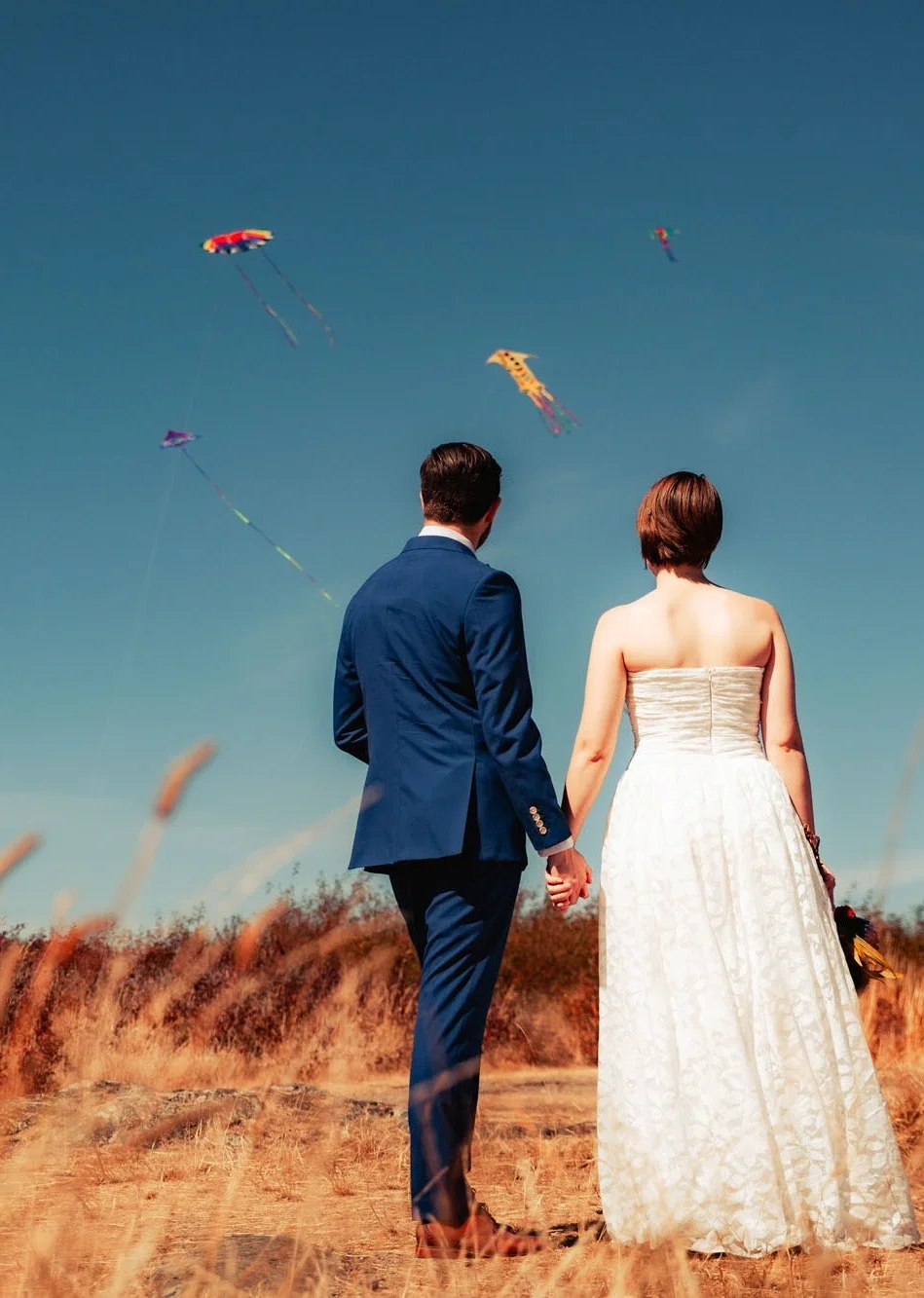 Bride and groom holding hands while gazing up at colorful kites soaring in a clear blue sky, captured from behind in a whimsical outdoor field setting with tall grasses, timelessly documented by an Abbotsford Fraser Valley and Vancouver wedding photo