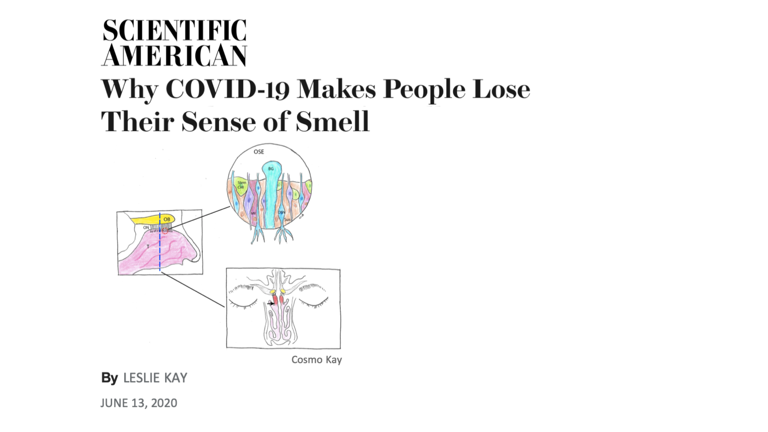 06.13.20.Kay.SciAm.png