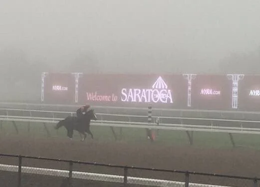 SaratogaSaturday.jpg