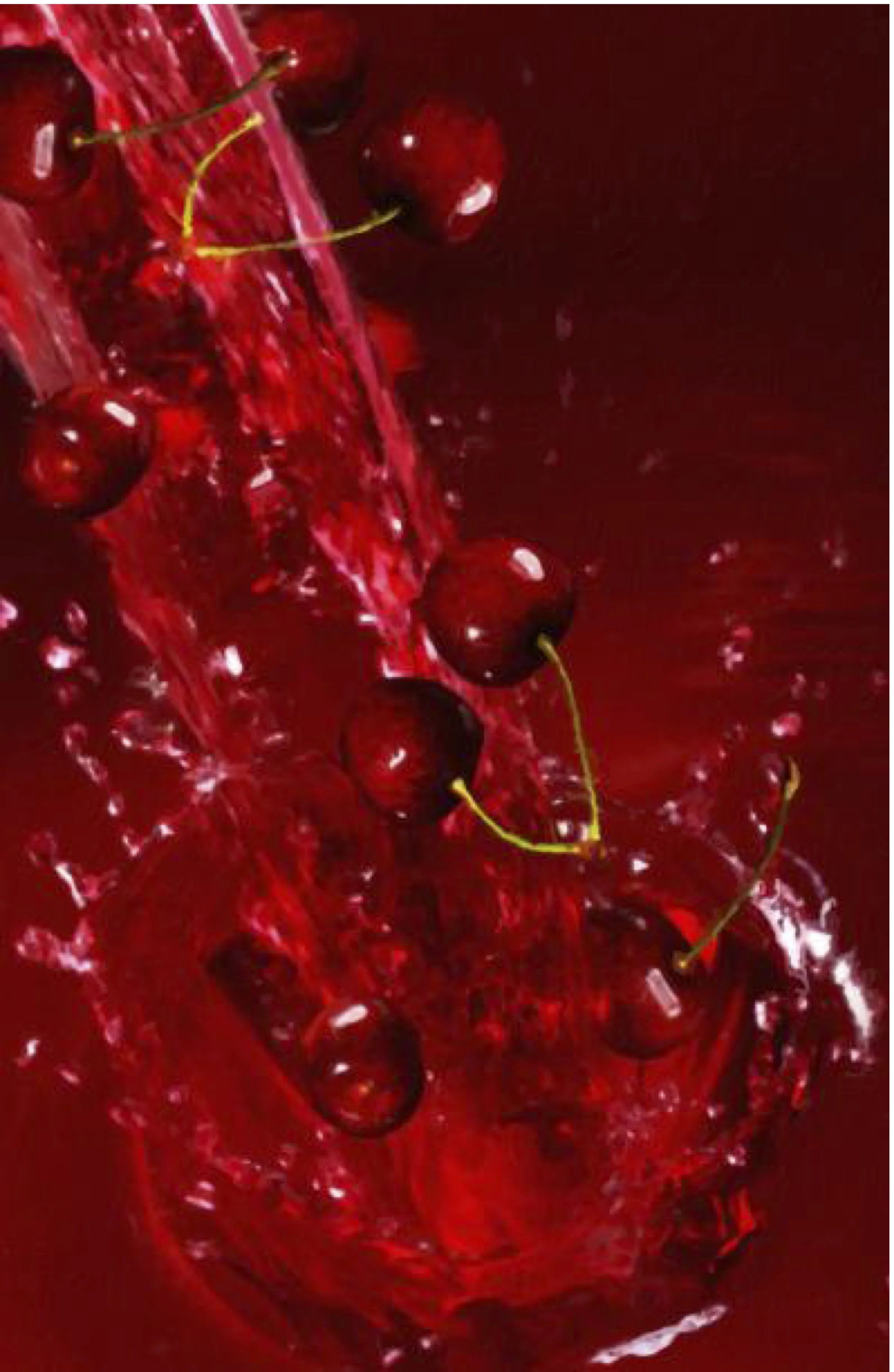 Cherry Fall - 72x48 - 4200.jpeg