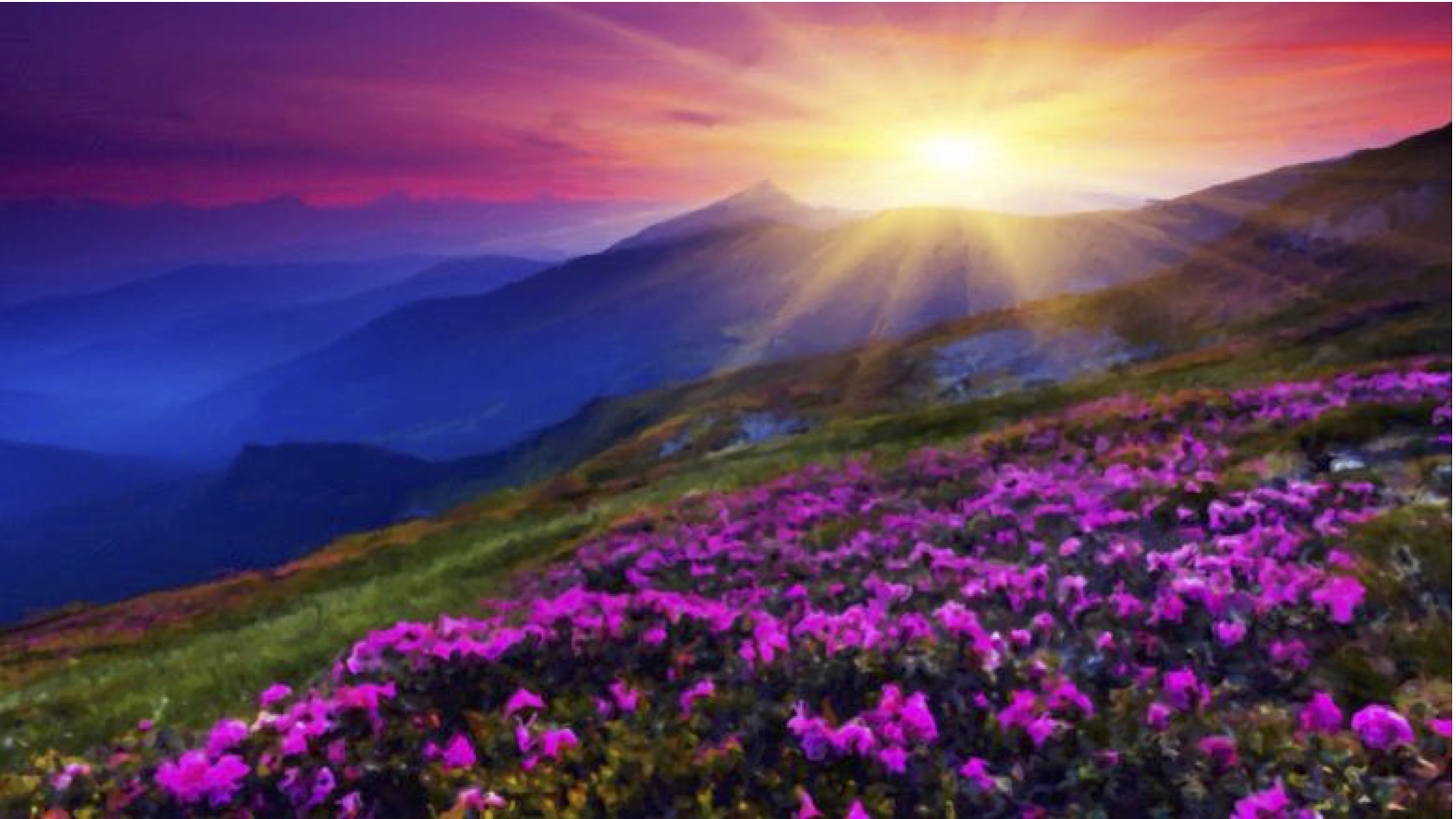 Crocus Sunset - 59x108 - 7300.jpeg