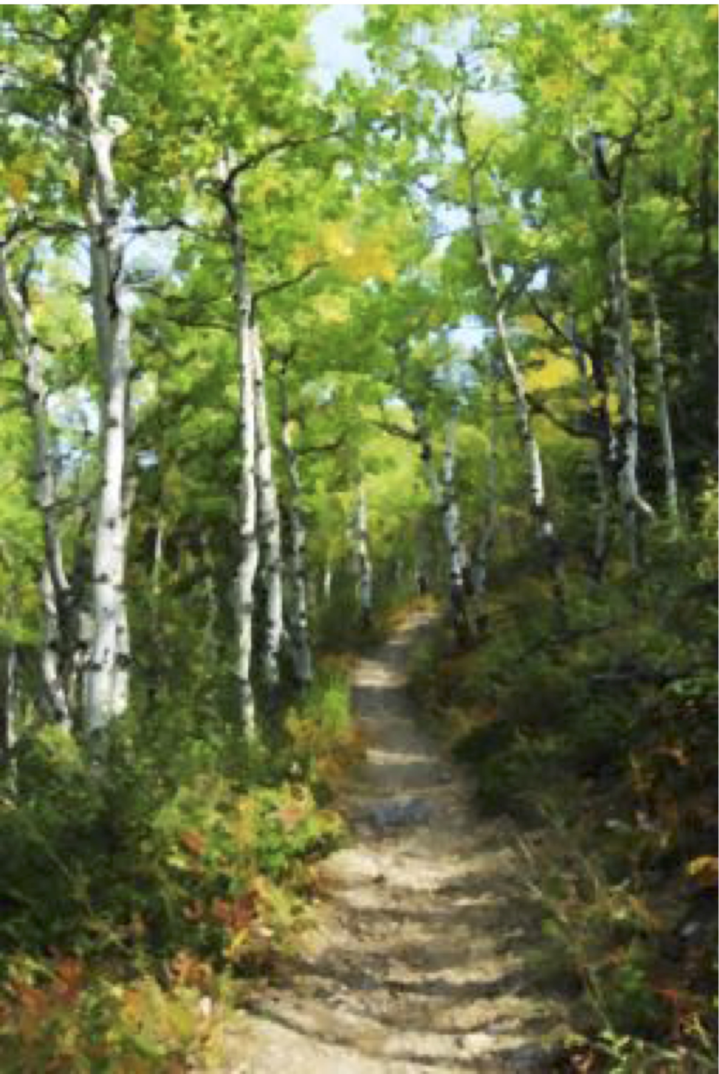 Distant Stranger - 54x30 - 3300.jpeg