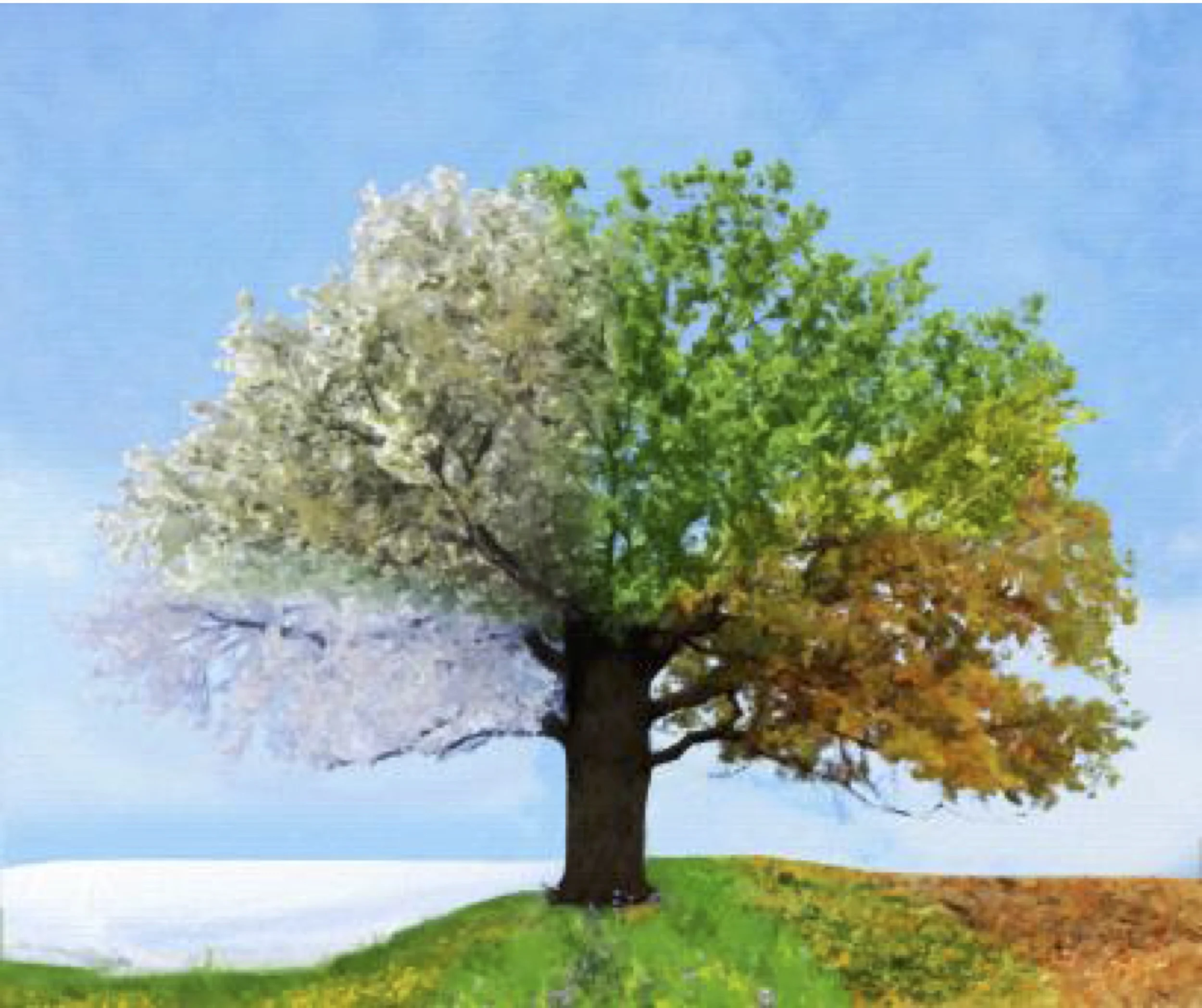 Vivaltree - 48x48 - 3400.jpeg
