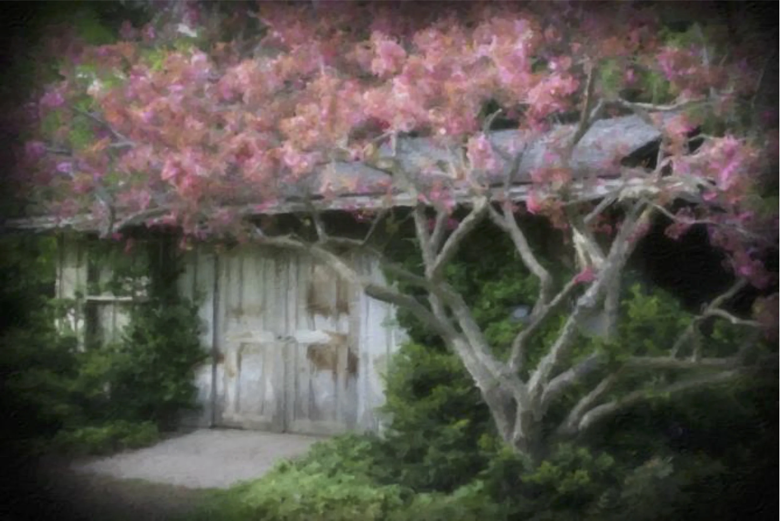 The Tree House - 9x12 - 470.jpeg