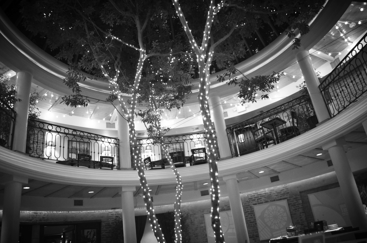 DSC_1004.jpg