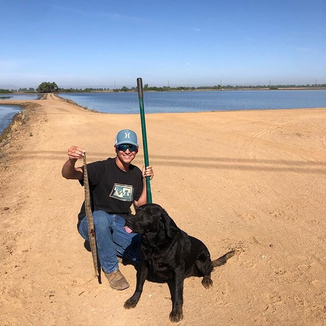 I was on a call with @thefowllifetv and @traegergrills , suddenly Bruno gets excited, and goes on point. Yep , pointed out a rattle snake! Rico was quick to act and all is good!
Bruno now has another skill!
Fyi... good things coming from @traegergril