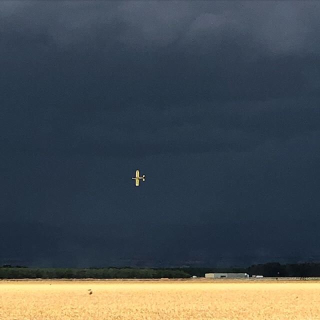 This evenings skies were quite epic,but even more epic was watching @wadeporter1588 flying our fields with the thunder rolling and lighting striking in the backdrop. #gotitdone #nofear #thunderstorm #rice #wheat #almonds #californiafarming