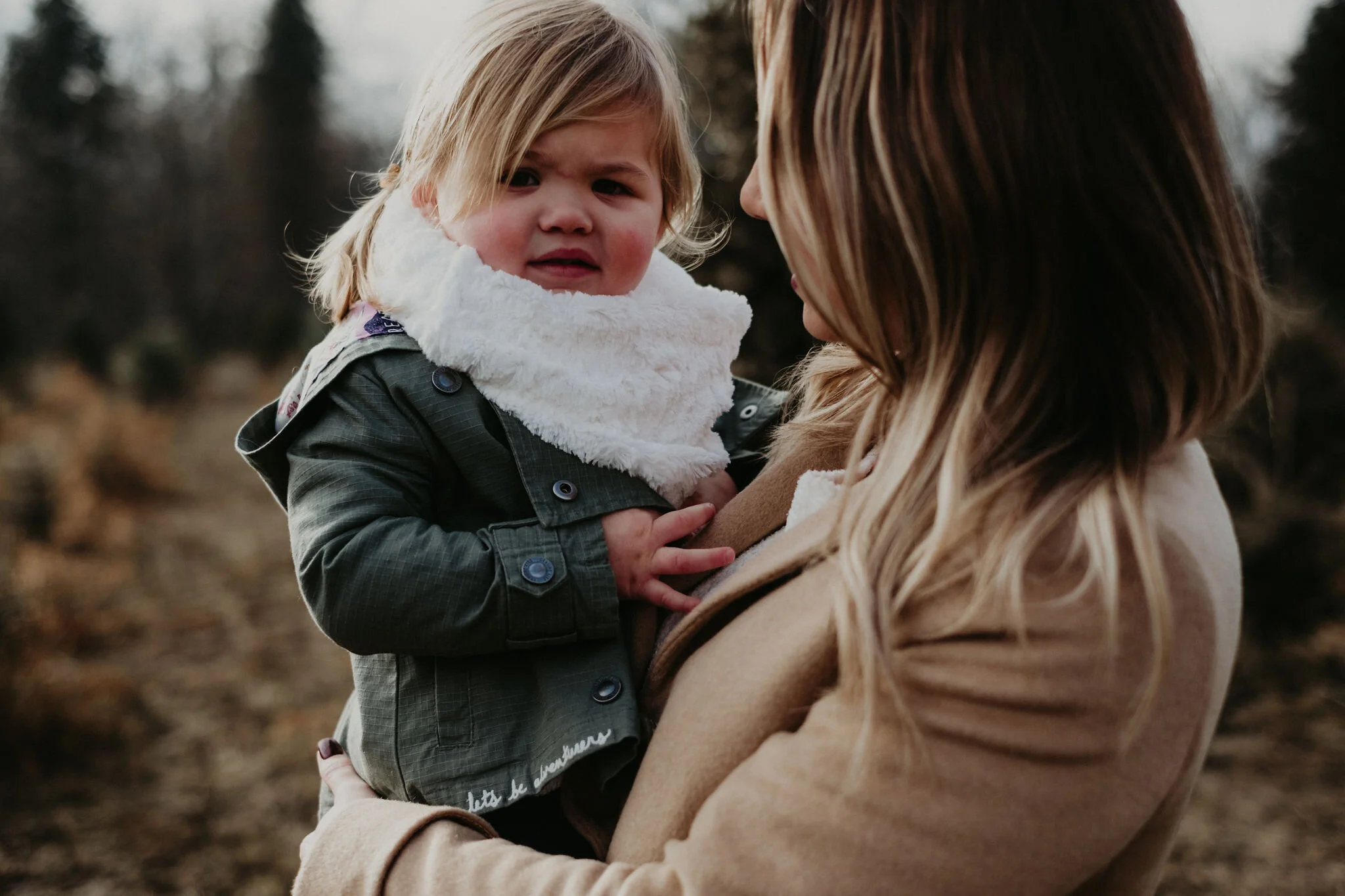 Michigan Tree Farm Family Photographer-4.jpg
