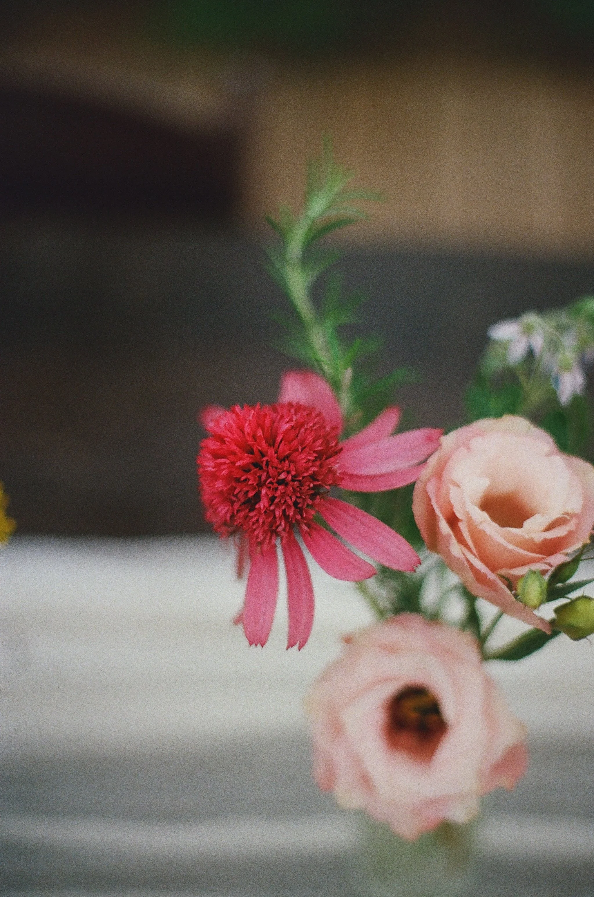amanda lalama detroit wedding photographer 35mm film3.jpg