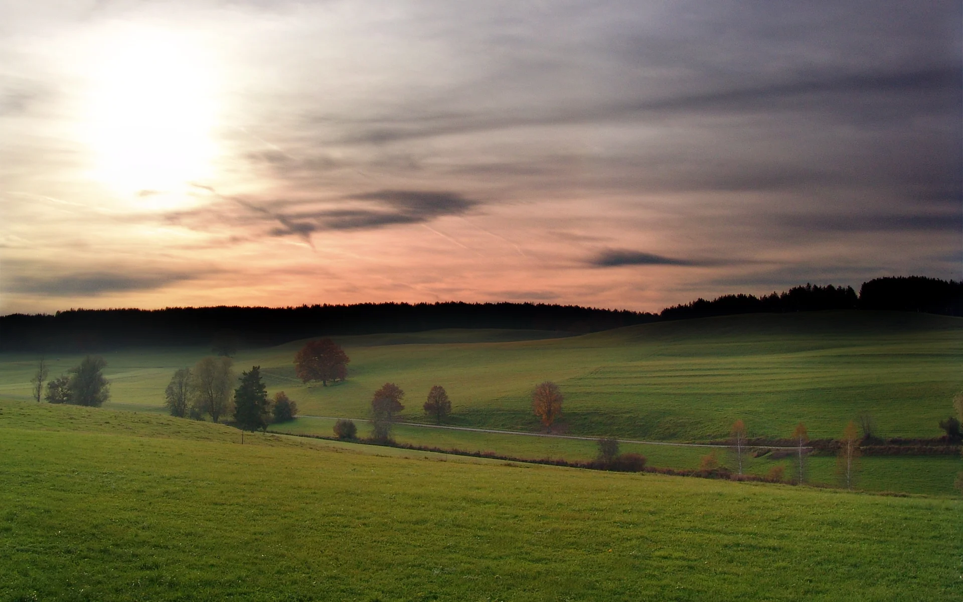 Landscape 1.jpg