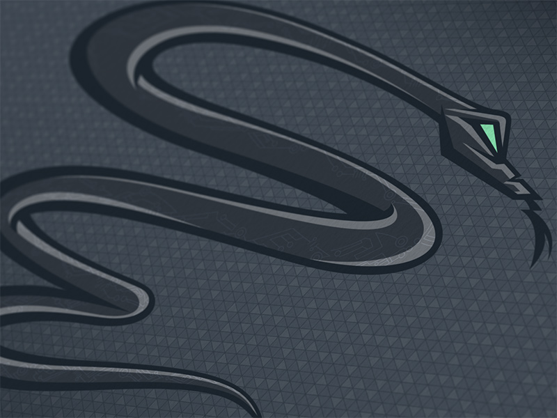 atomicvibe_SnakeEyesSoftware_option03_08.jpg