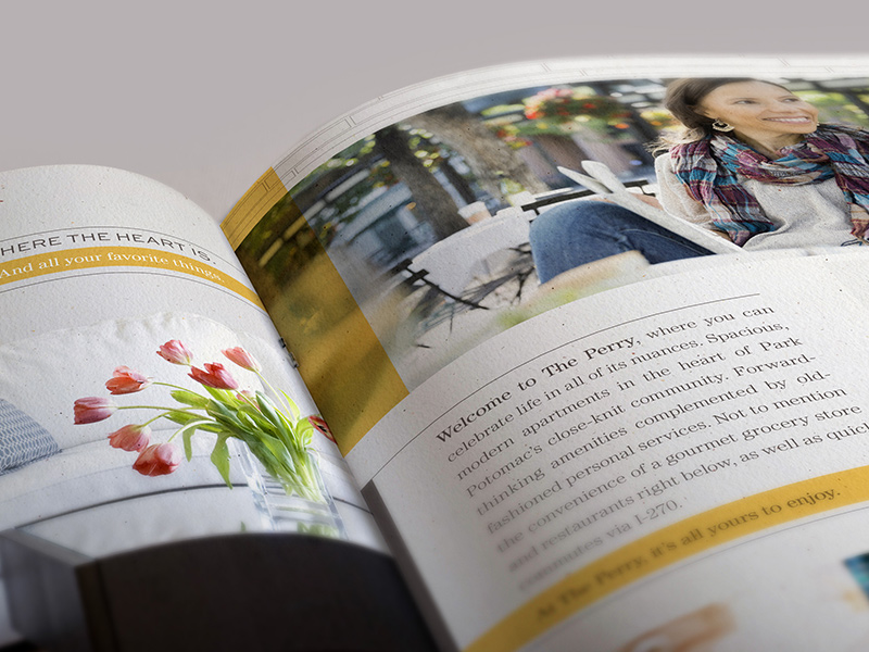 Brochure interior spread.