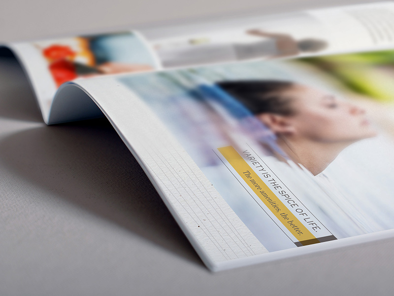 Brochure interior spread.