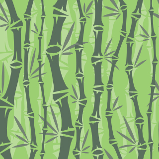 Bamboo pattern