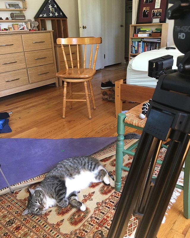 Production assistant cat. Helping monitor audio during Bea&rsquo;s final interview. 5 and a half years later, production is almost complete. #documentary #rare #tgfb3 #beathfilm