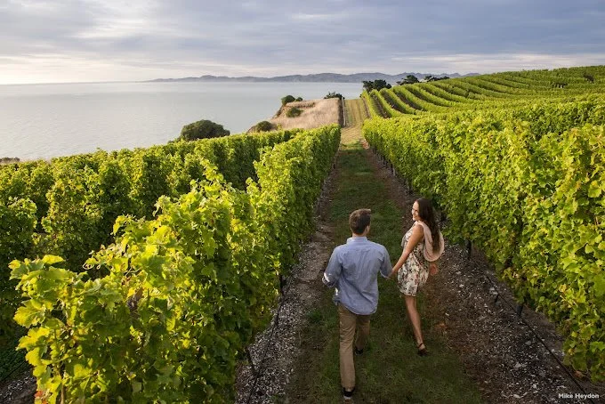 Your Ultimate Guide to the Marlborough Wine Trail