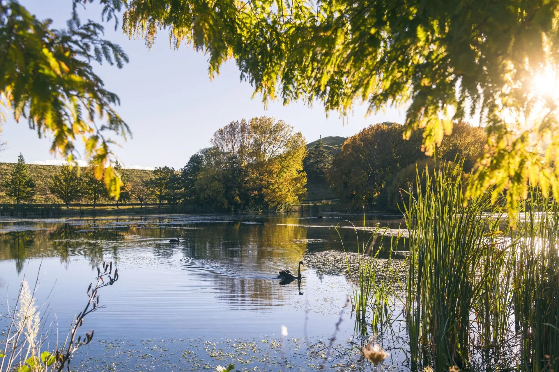 TrescoApartments - Winter Taylor Dam.jpg