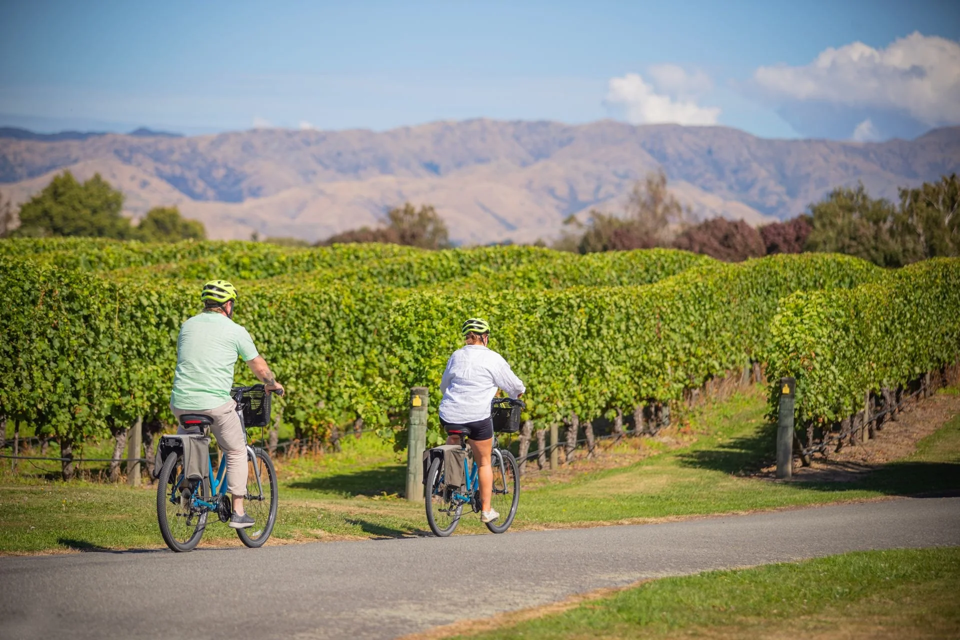 cycle the marlborough vineyards