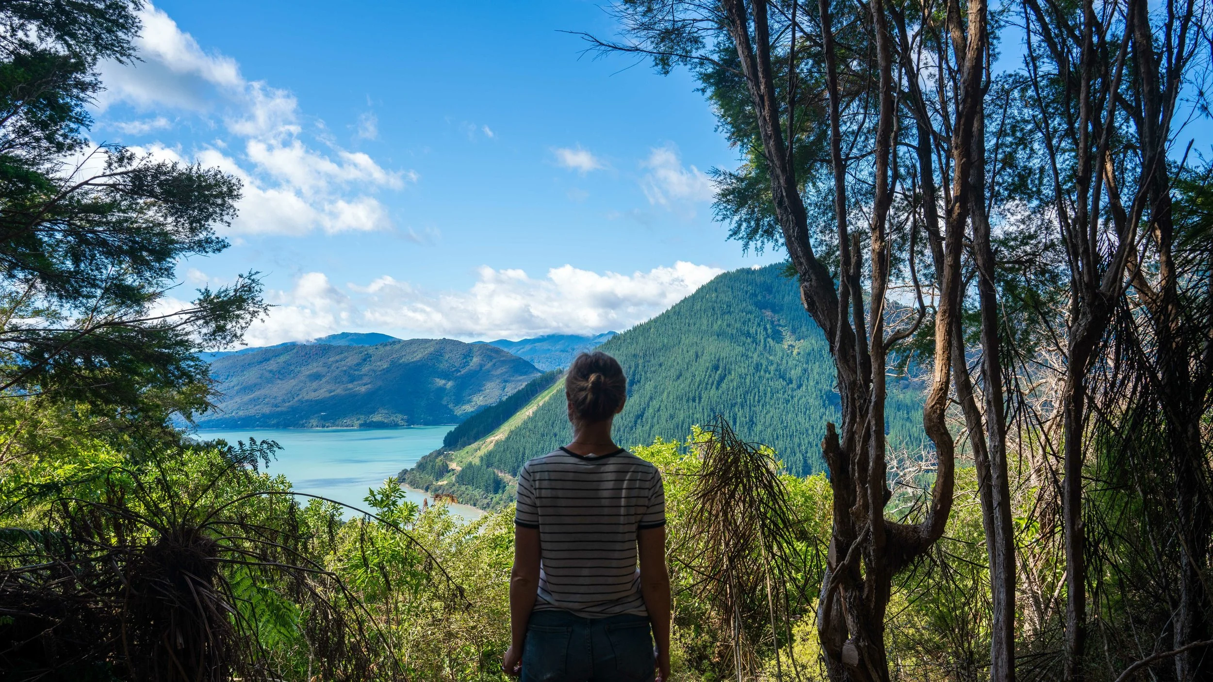 A person standing on a trail inside a forest, overlooking a landscape with a lake, rolling green hills, and mountains under a partly cloudy sky.