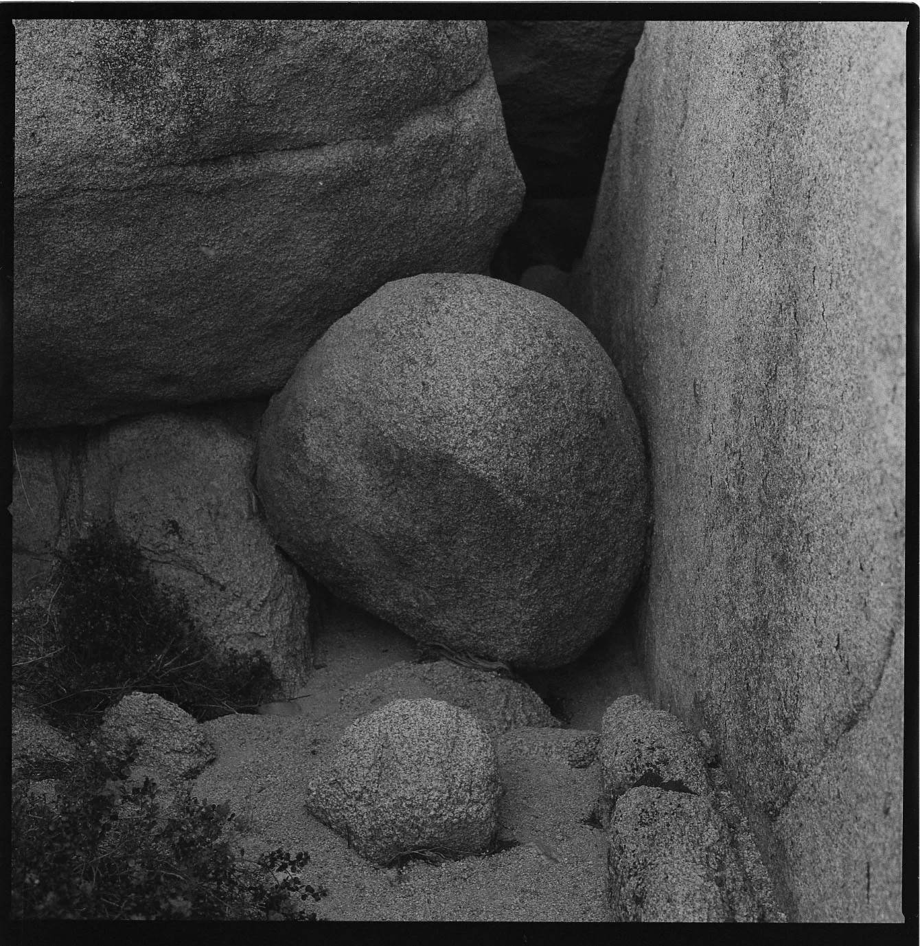 cgreenlee_13_bw_joshua036.jpg