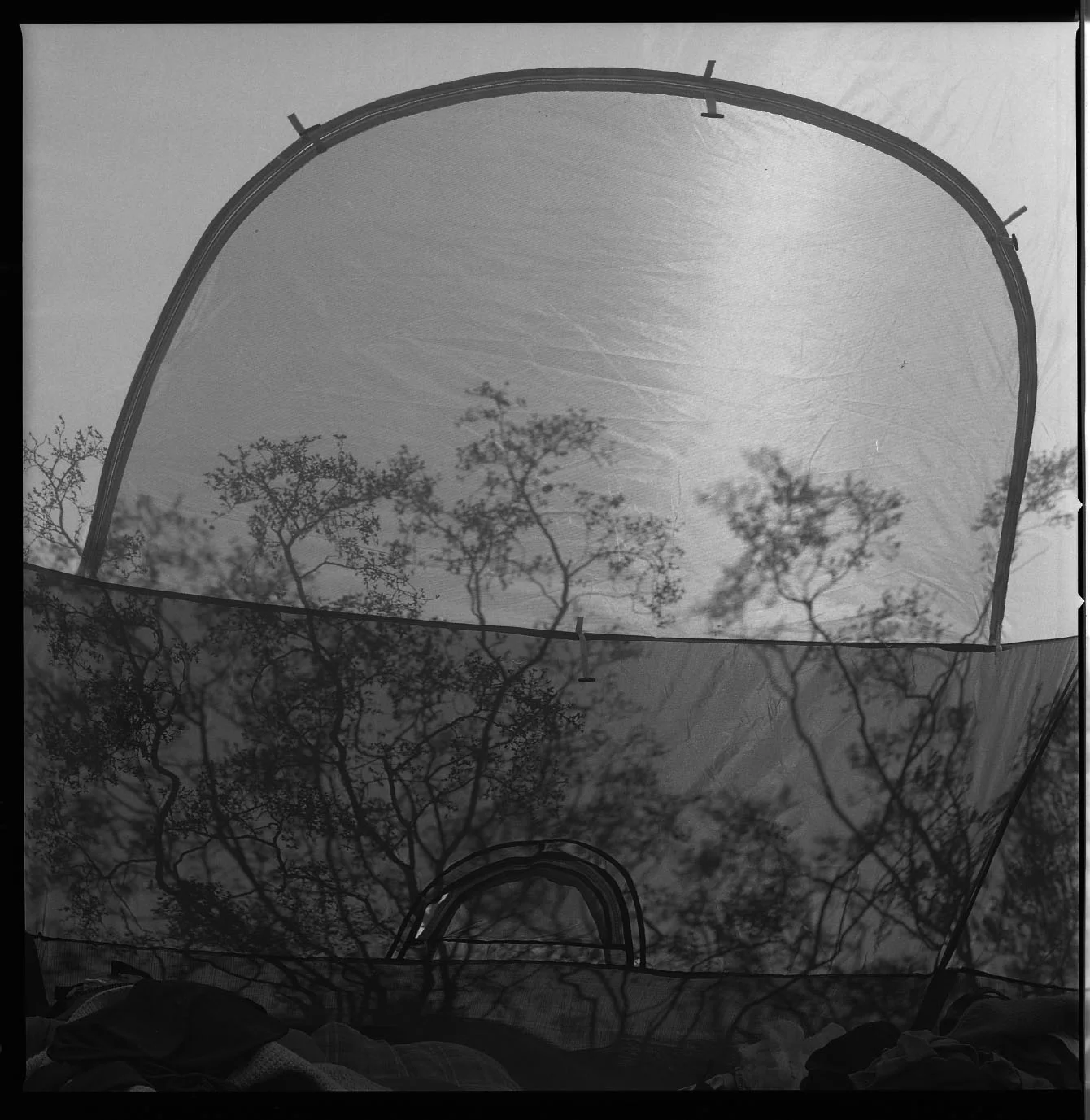 cgreenlee_13_bw_joshua025.jpg