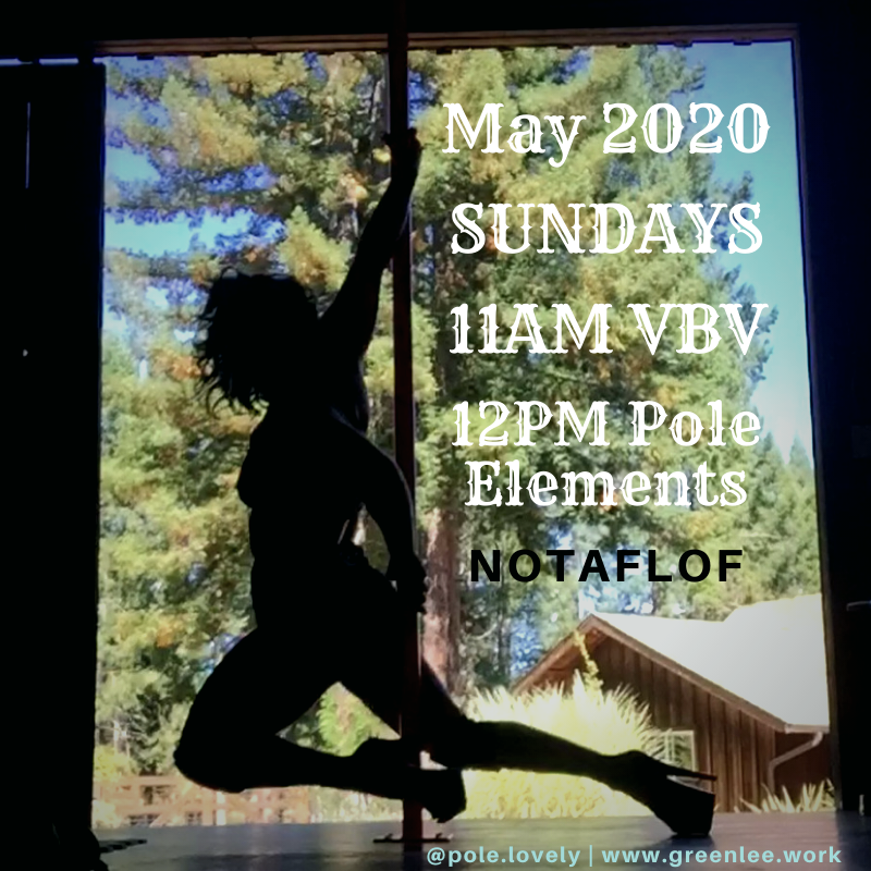 POP-UP POLE WORKSHOP.png