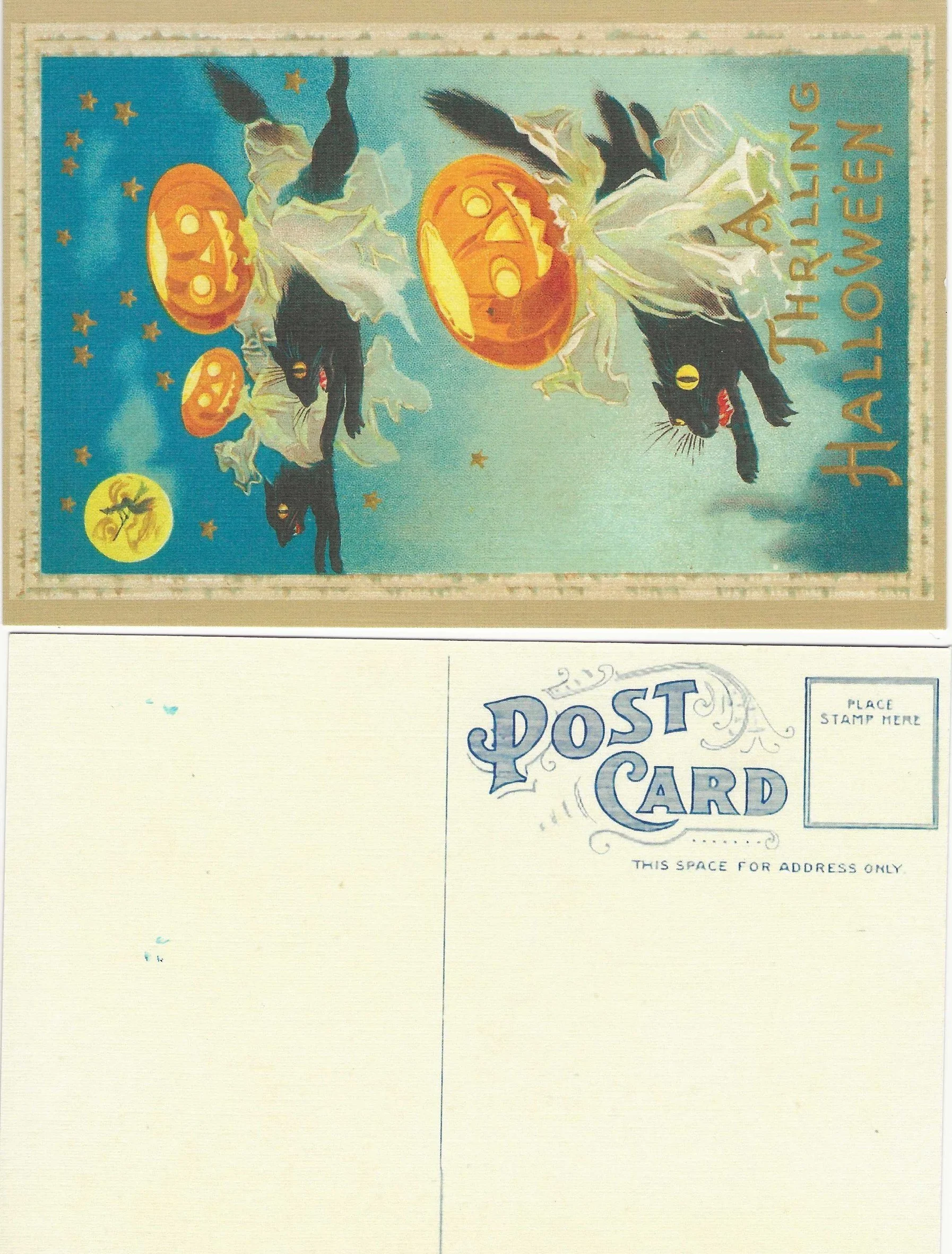 ThrillingHalloweenFrontandBack.jpg