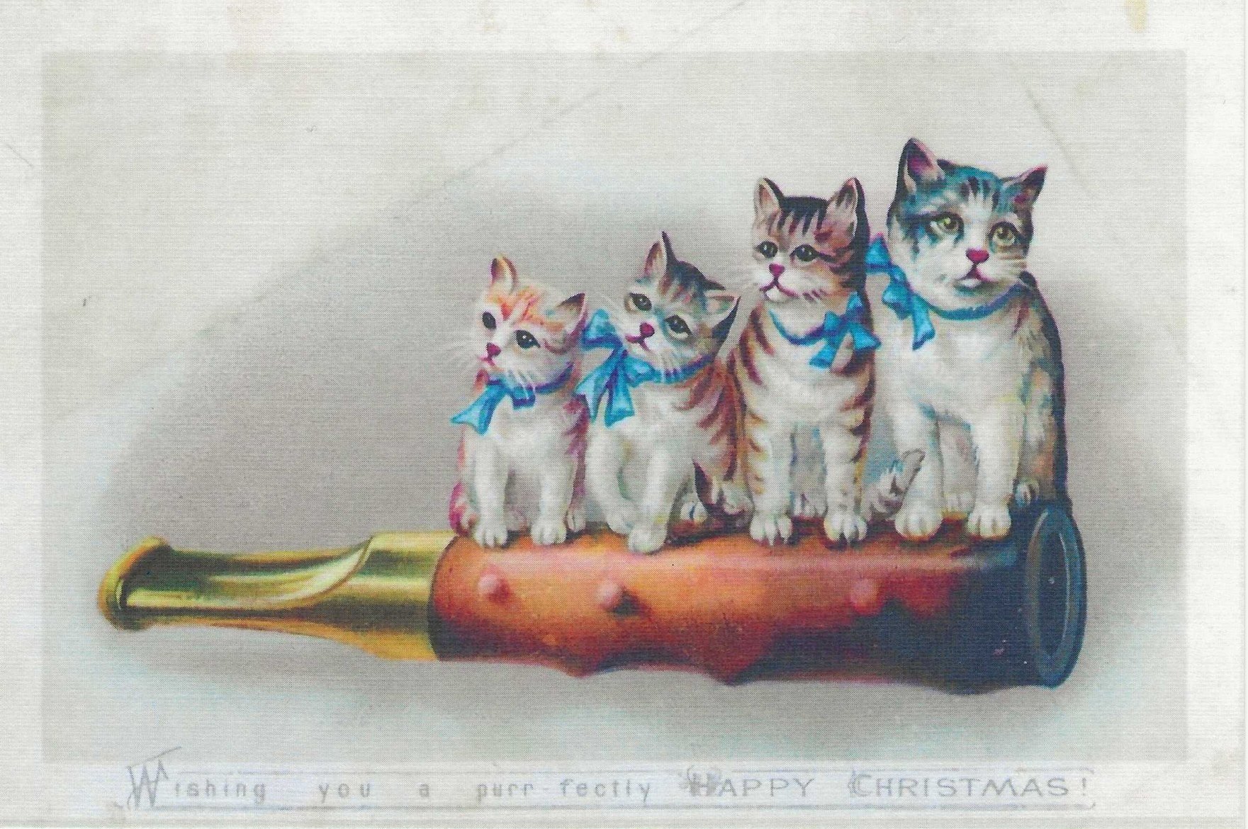 KittyChristmasFront.jpg