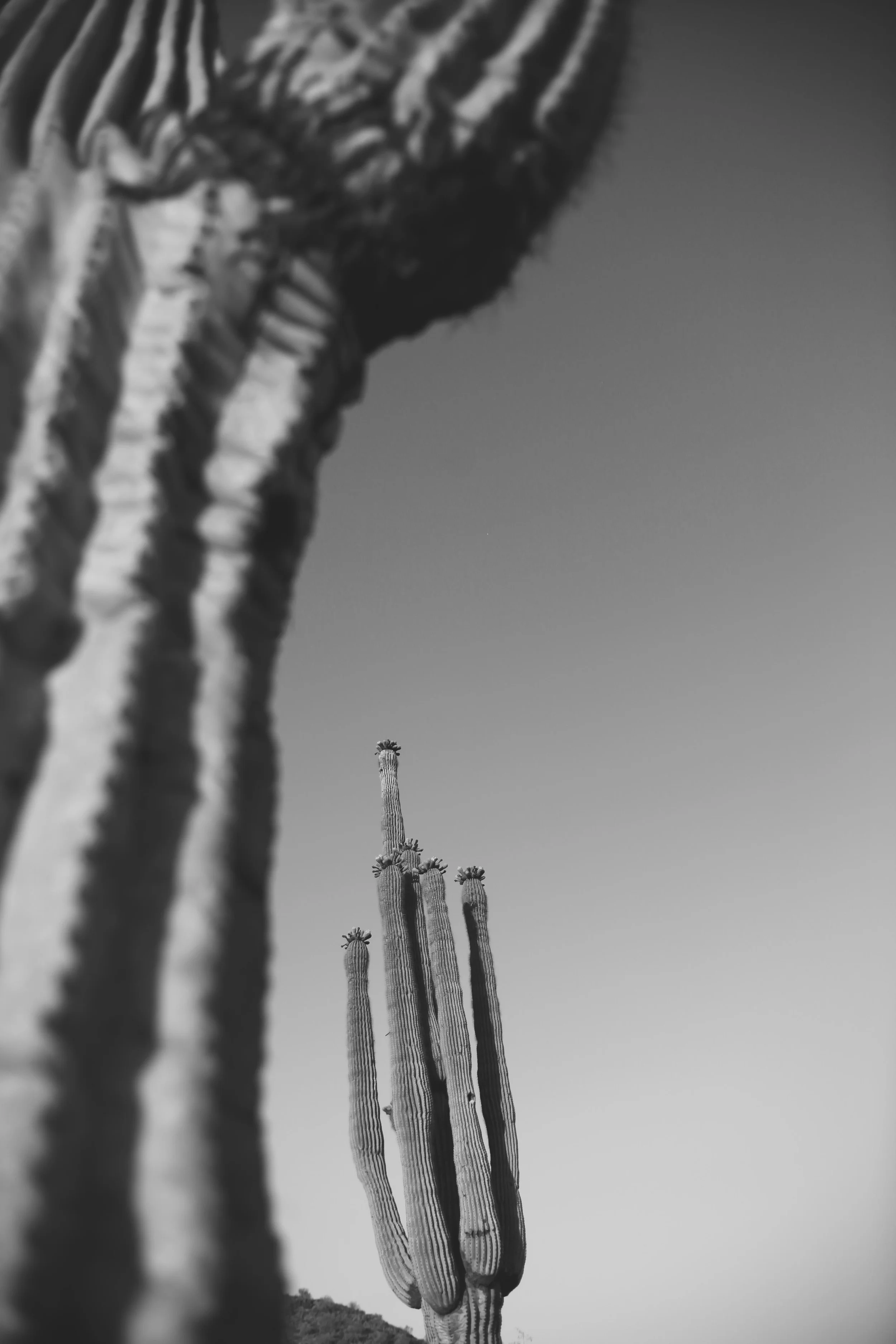 land-8220.jpg