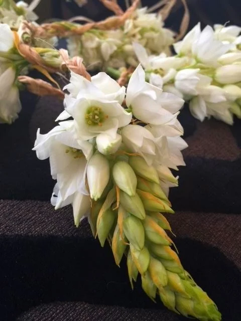 image00.jpg