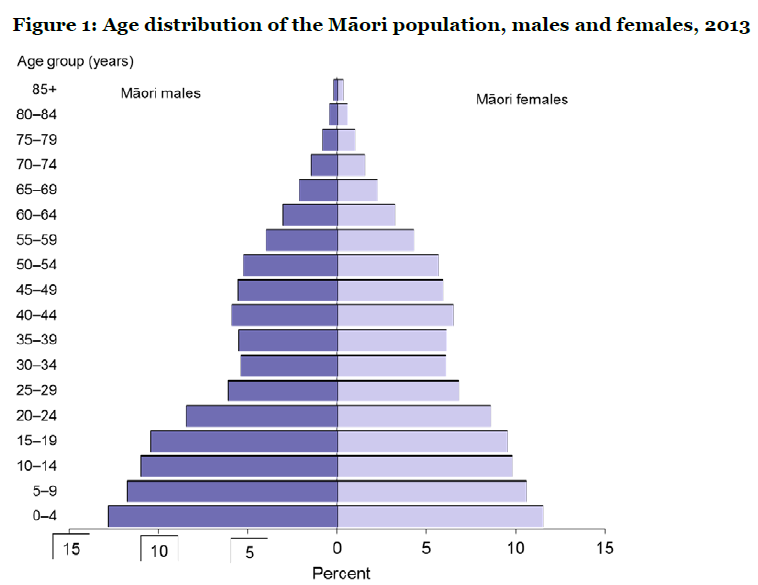 Source: Tatau Kahukura: Māori Health Chart Book 2015, 3rd edition (Ministry of Health, October 2015), p7