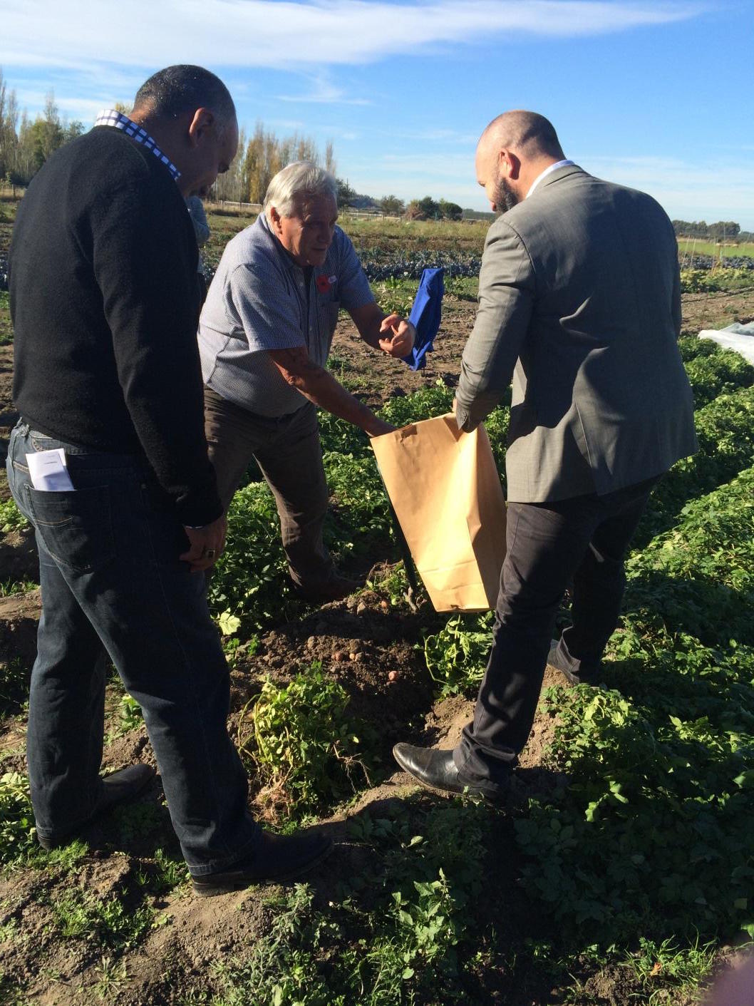 Minister Flavell, Peter Ramsden and Manaia Cunningham, showing that they know how to till the soil.