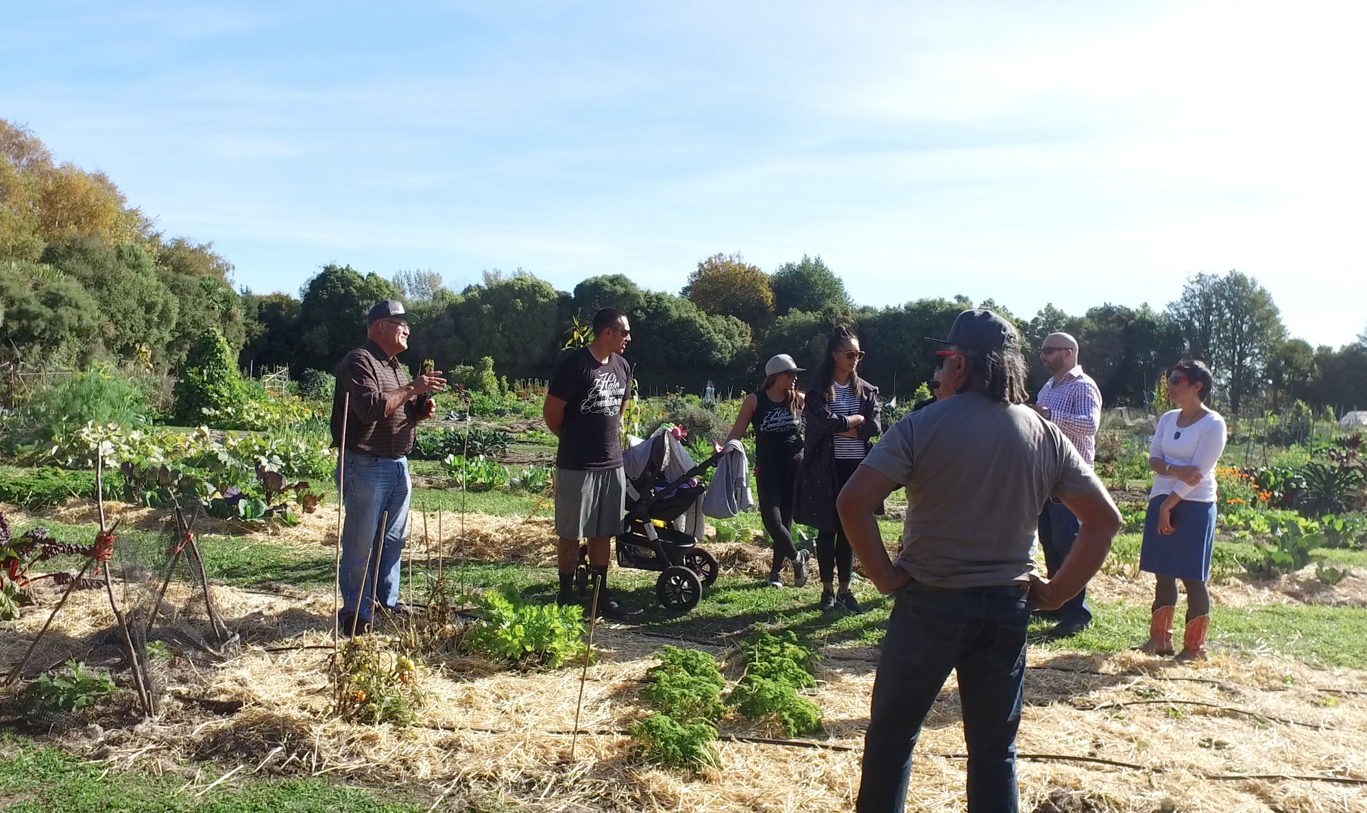 Dr Richard Hunter, on the far left, sharing some of his secrets to a flourishing crop
