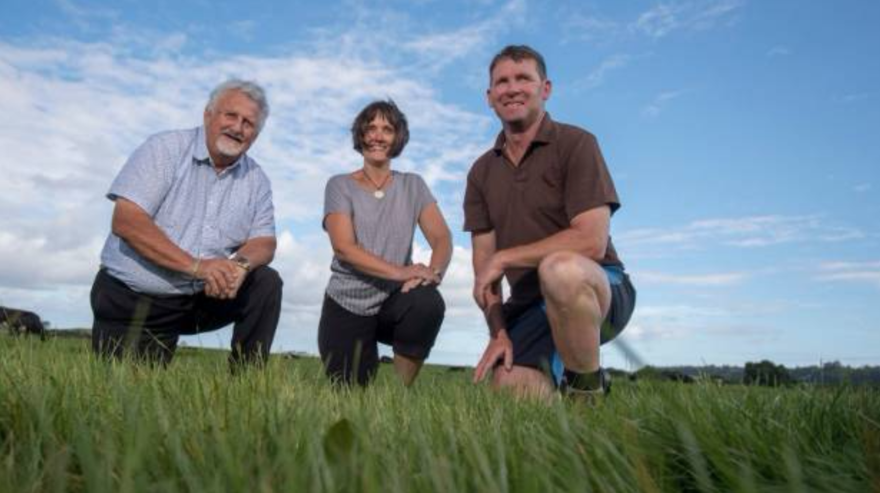 The Proprietors of Mawhera Incorporation (Hokitika) were named this week as one of two finalists in the Ahuwhenua Trophy BNZ Māori Excellence in Farming Award.