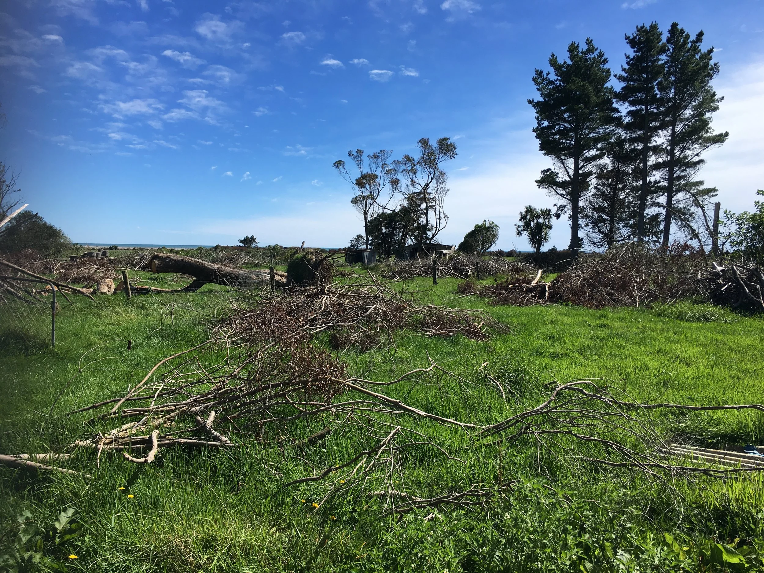 Hokitika2.jpg