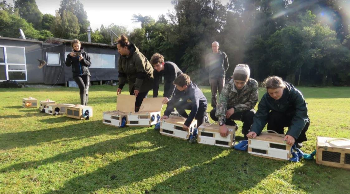T AW 2019 Rangatahi releasing Robins as part of the Hollyford Conservation trust program.