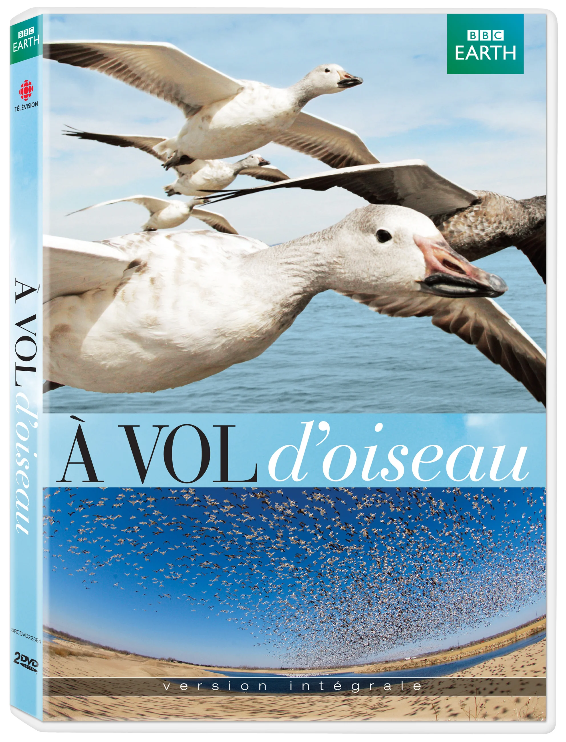 RadioCanada_AVoldOiseau_A_3Dblanc.jpg