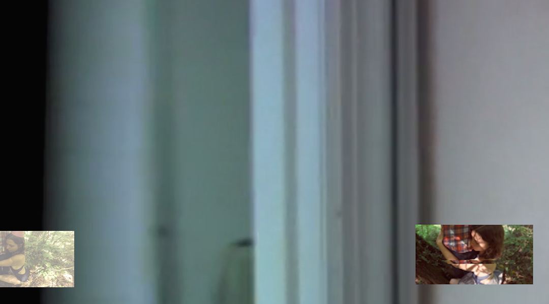 don't look at the moon tonight (eat the flowers)
