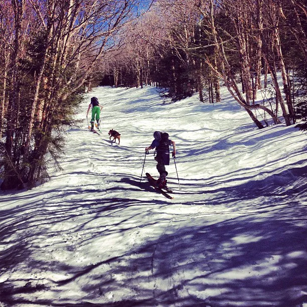 Tear Drop, Mt. Mansfield,VT.